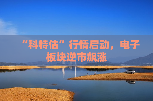 “科特估”行情启动，电子板块逆市飙涨