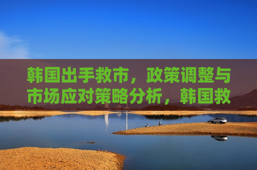 韩国出手 *** ，政策调整与市场应对策略分析，韩国 *** 政策调整与市场应对策略探究，韩国 *** 政策调整，市场应对策略探究