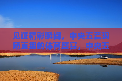 见证精彩瞬间，中央五套现场直播的体育盛宴，中央五套现场直播，体育盛宴，精彩瞬间见证，中央五套现场直播，见证体育盛宴的精彩瞬间