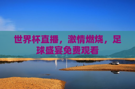 世界杯直播， *** 燃烧，足球盛宴免费观看  第1张
