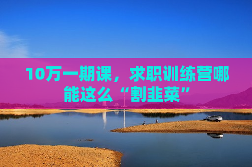 10万一期课，求职训练营哪能这么“割韭菜”  第1张