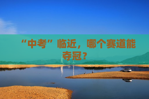 “中考”临近，哪个赛道能夺冠？  第1张