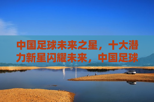 中国足球未来之星，十大潜力新星闪耀未来，中国足球未来之星，十大潜力新星照亮未来赛场，中国足球未来之星，十大潜力新星照亮赛场
