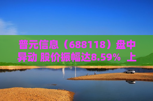 普元信息（688118）盘中异动 股价振幅达8.59%  上涨7.05%（06-18）