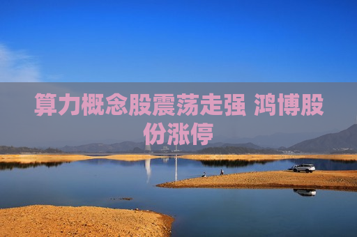 算力概念股震荡走强 鸿博股份涨停  第1张