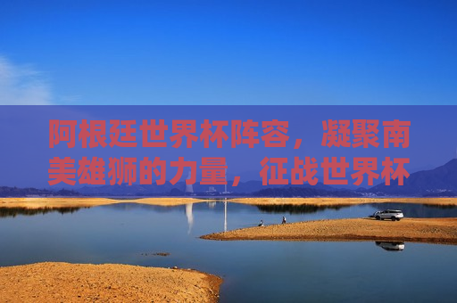 阿根廷世界杯阵容，凝聚南美雄狮的力量，征战世界杯赛场，阿根廷世界杯阵容，南美雄狮征战赛场，阿根廷世界杯阵容，南美雄狮的征战之旅