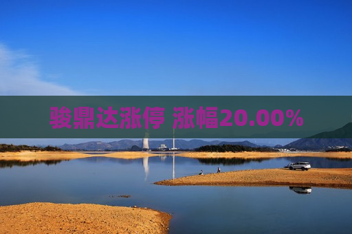 骏鼎达涨停 涨幅20.00%