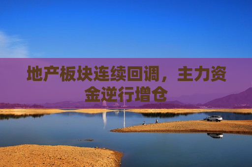 地产板块连续回调，主力资金逆行增仓