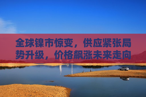 全球镍市惊变，供应紧张局势升级，价格飙涨未来走向成谜，全球镍市供应紧张加剧，价格飙升引关注，全球镍市供应紧张加剧，价格飙升引关注，未来走向成谜