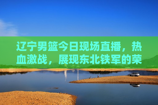 辽宁男篮今日现场直播，热血激战，展现东北铁军的荣耀，辽宁男篮热血激战，东北铁军的荣耀现场直播，辽宁男篮热血激战，东北铁军的荣耀现场直播