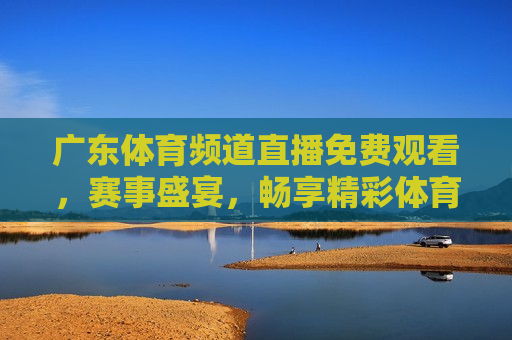 广东体育频道直播免费观看，赛事盛宴，畅享精彩体育时刻