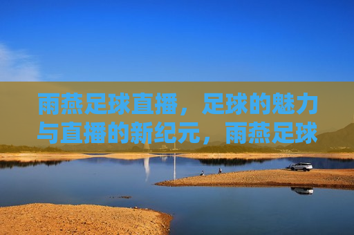 雨燕足球直播，足球的魅力与直播的新纪元，雨燕足球直播，足球魅力与直播新时代的交融，雨燕足球直播，足球魅力与直播新时代的交融