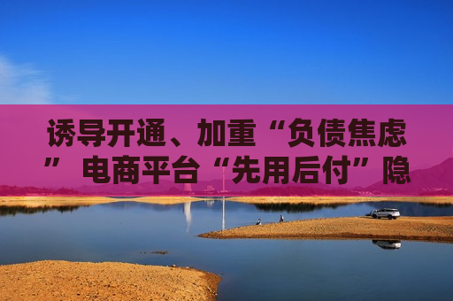 诱导开通、加重“负债焦虑” 电商平台“先用后付”隐忧重重  第1张