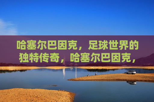 哈塞尔巴因克，足球世界的独特传奇，哈塞尔巴因克，足球界的传奇独狼，哈塞尔巴因克，足球界的传奇独狼  第1张