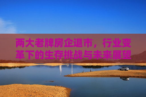 两大老牌房企退市，行业变革下的生存挑战与未来展望，两大老牌房企退市，生存挑战与未来展望，两大房企退市揭示行业变革，生存挑战与未来展望