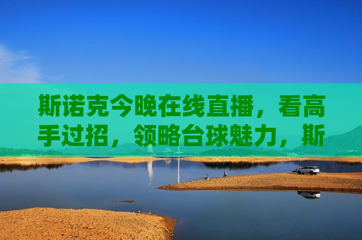 斯诺克今晚在线直播，看高手过招，领略台球魅力，斯诺克高手在线对决，领略台球魅力，斯诺克高手在线对决，领略台球魅力之夜