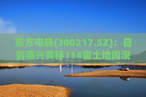 东方电热(300217.SZ)：目前泰兴黄桥114亩土地尚没有购买