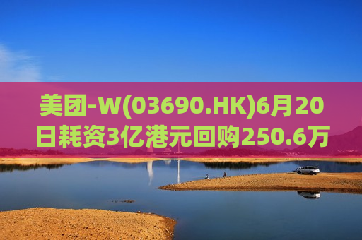 美团-W(03690.HK)6月20日耗资3亿港元回购250.6万股