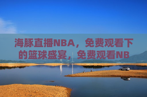 海豚直播NBA，免费观看下的篮球盛宴，免费观看NBA盛宴，海豚直播带你畅享篮球精彩，海豚直播，免费畅享NBA盛宴