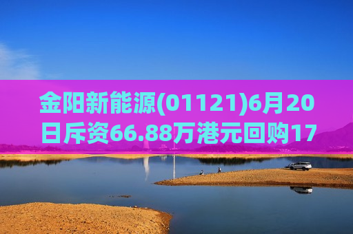 金阳新能源(01121)6月20日斥资66.88万港元回购17.8万股  第1张