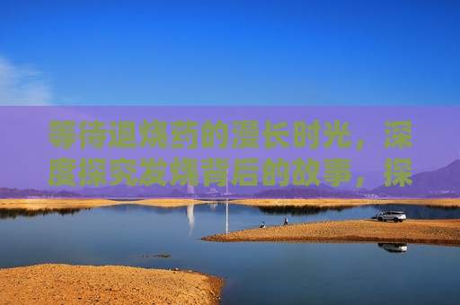 等待退烧药的漫长时光，深度探究发烧背后的故事，探寻发烧背后的故事，等待退烧药的漫长时光，探寻发烧背后的故事，等待退烧药的漫长时光
