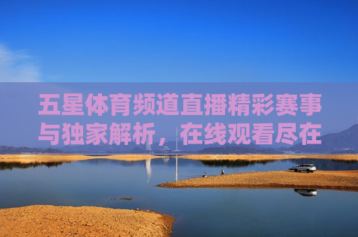 五星体育频道直播精彩赛事与独家解析，在线观看尽在五星体育