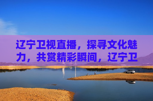 辽宁卫视直播，探寻文化魅力，共赏精彩瞬间，辽宁卫视探寻文化魅力，直播共赏精彩瞬间，辽宁卫视探寻文化魅力，直播共赏精彩瞬间  第1张