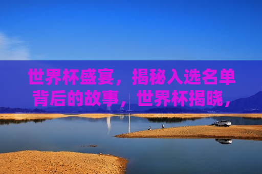 世界杯盛宴，揭秘入选名单背后的故事，世界杯揭晓，揭秘入选名单背后的精彩故事，世界杯揭晓，揭秘入选名单背后的精彩故事与传奇之旅