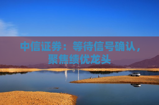 中信证券：等待信号确认，聚焦绩优龙头  第1张