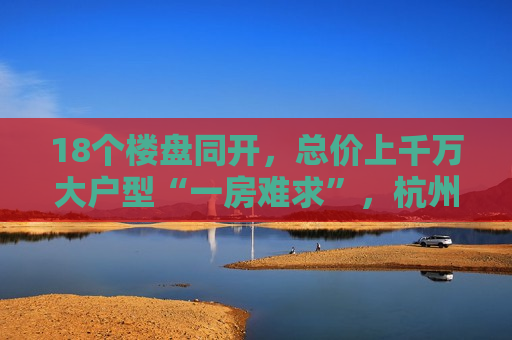 18个楼盘同开，总价上千万大户型“一房难求”，杭州楼市展现韧性