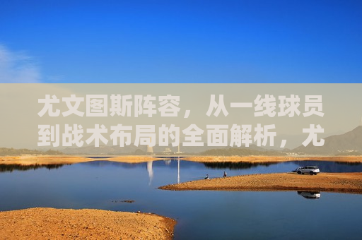 尤文图斯阵容，从一线球员到战术布局的全面解析，尤文图斯阵容全面解析，从一线球员到战术布局，尤文图斯阵容全面解析，从一线球员到战术布局