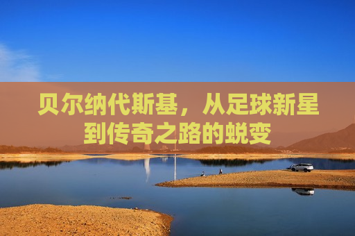 贝尔纳代斯基，从足球新星到传奇之路的蜕变