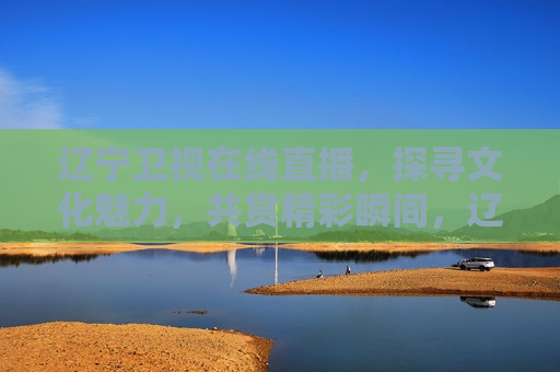 辽宁卫视在线直播，探寻文化魅力，共赏精彩瞬间，辽宁卫视直播，探寻文化魅力，辽宁卫视直播探寻文化魅力盛宴