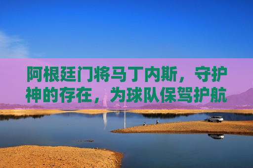 阿根廷门将马丁内斯，守护神的存在，为球队保驾护航，阿根廷守护神，马丁内斯，门将的荣耀，阿根廷守护神，马丁内斯，门将的荣耀