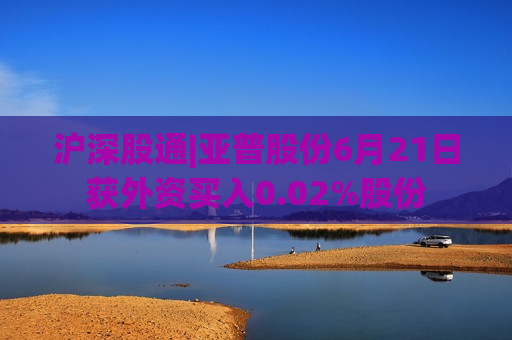沪深股通|亚普股份6月21日获外资买入0.02%股份