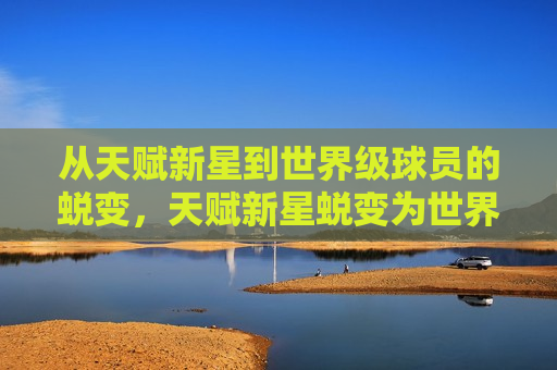 从天赋新星到世界级球员的蜕变，天赋新星蜕变为世界级球员，天赋新星崛起，从新星到世界级球员的华丽蜕变