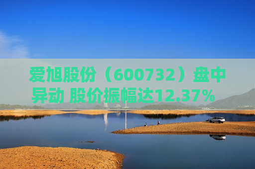 爱旭股份（600732）盘中异动 股价振幅达12.37%  上涨7.53%（06-24）