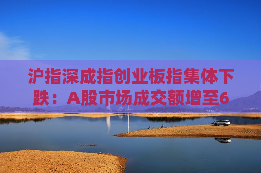 沪指深成指创业板指集体下跌：A股市场成交额增至6956亿元，互联网电商板块领跌  第1张