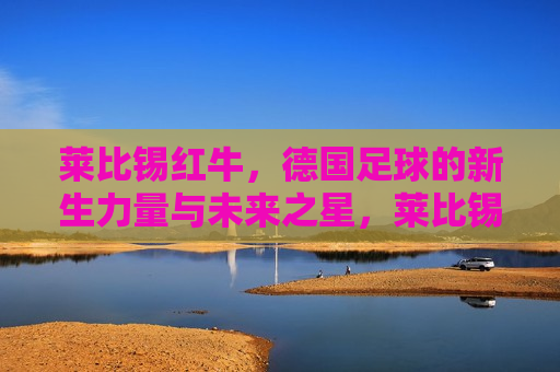 莱比锡红牛，德国足球的新生力量与未来之星，莱比锡红牛，德国足球的未来之星，德国足球的未来之星，莱比锡红牛