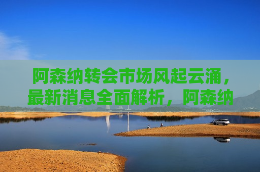 阿森纳转会市场风起云涌，最新消息全面解析，阿森纳转会风云解析，最新消息揭秘，阿森纳转会风云揭秘，最新消息全面解析