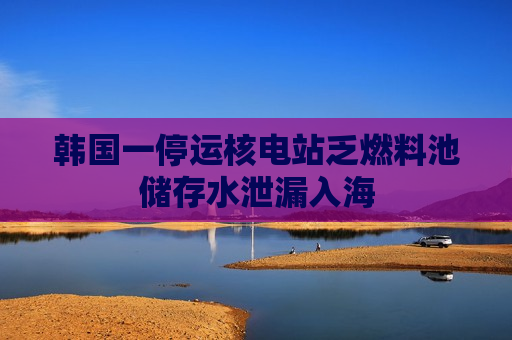 韩国一停运核电站乏燃料池储存水泄漏入海