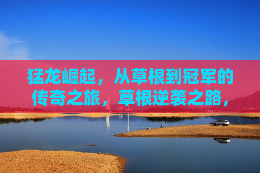 猛龙崛起，从草根到冠军的传奇之旅，草根逆袭之路，猛龙夺冠的传奇之旅，草根逆袭之路，猛龙夺冠传奇之旅