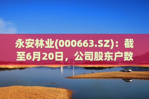 永安林业(000663.SZ)：截至6月20日，公司股东户数为20112