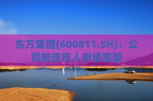 东方集团(600811.SH)：公司被债权人申请重整