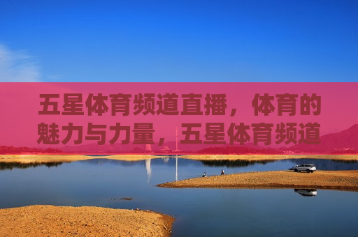 五星体育频道直播，体育的魅力与力量，五星体育频道直播，体育的魅力与力量展现，五星体育频道直播，体育的魅力与力量的展现