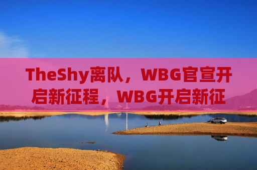 TheShy离队，WBG官宣开启新征程，WBG开启新征程，TheShy离队，WBG开启新篇章，TheShy离队，队伍新征程启航