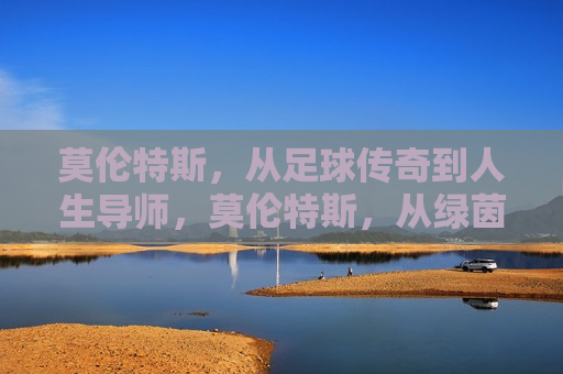 莫伦特斯，从足球传奇到人生导师，莫伦特斯，从绿茵传奇到人生领航者，莫伦特斯，从绿茵传奇到人生领航者