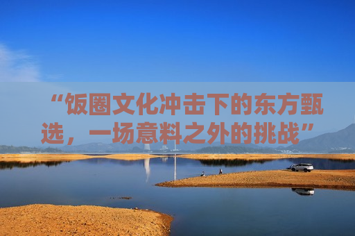 “饭圈文化冲击下的东方甄选，一场意料之外的挑战”，东方甄选面临饭圈文化冲击，意料之外的挑战，东方甄选遭遇饭圈文化冲击，意料之外的挑战