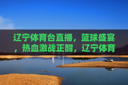 辽宁体育台直播，篮球盛宴，热血激战正酣，辽宁体育台篮球盛宴，热血激战正酣，辽宁体育台篮球盛宴，热血激战正热烈进行中