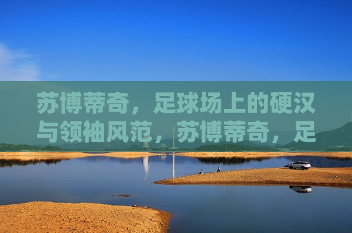 苏博蒂奇，足球场上的硬汉与领袖风范，苏博蒂奇，足球场上的硬汉领袖，苏博蒂奇，足球场上的硬汉领袖